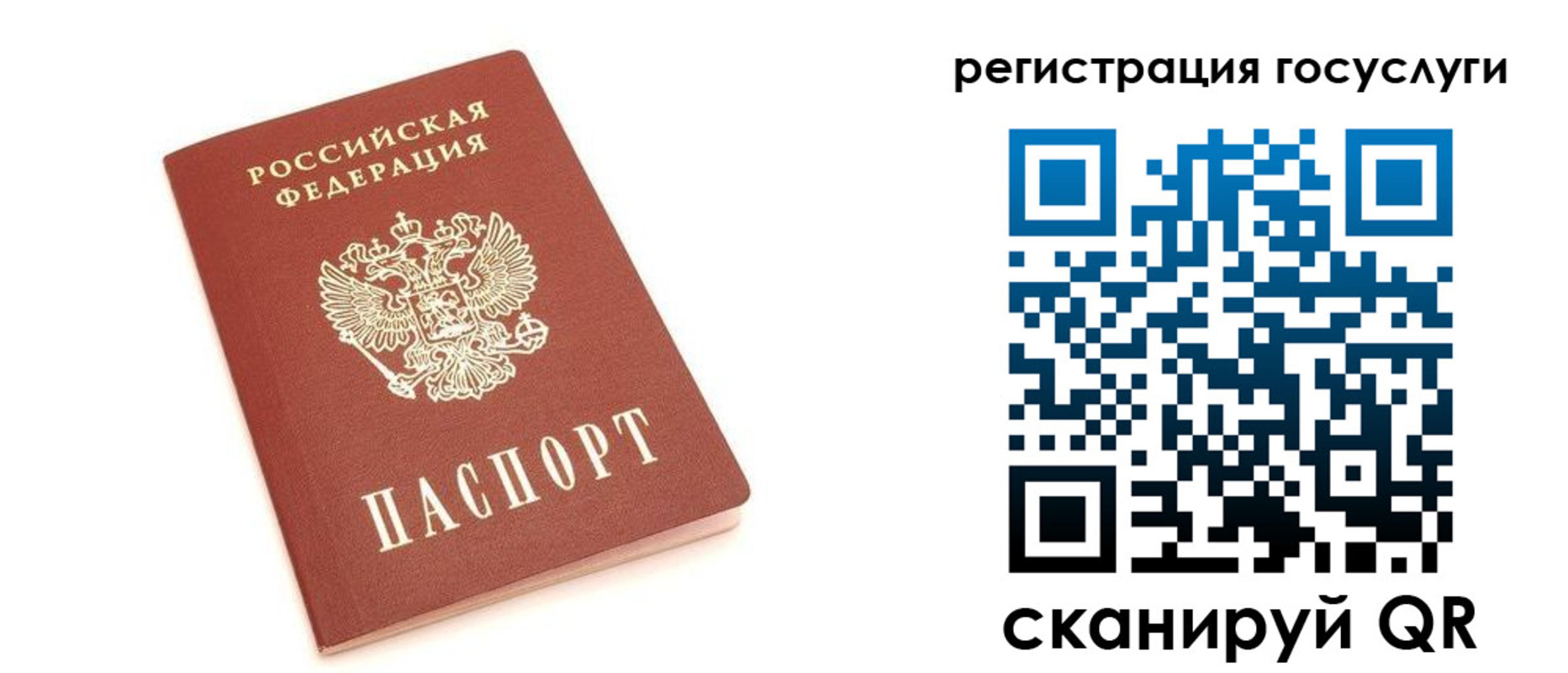 прописка 2025 в Болотном